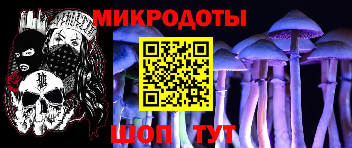 Томск  Псилоцибиновые грибы Psilocybine cubensis  Галлюциногенные грибы прущие грибы  Вход с VPN 