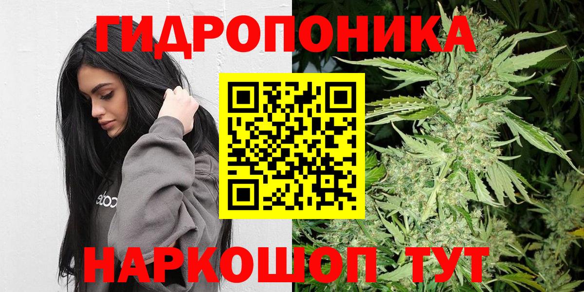 Конопля марихуана Томск